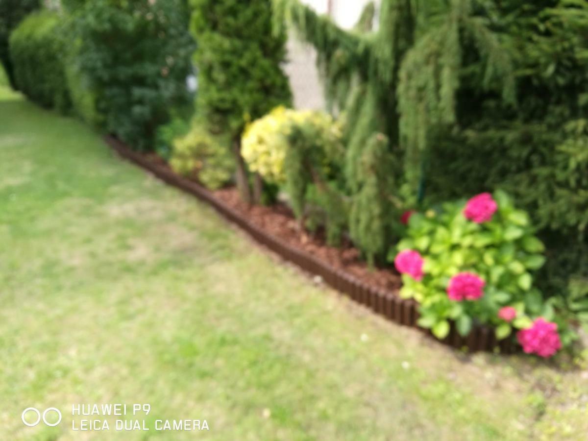 Apartament Rodzinny Colberg โควอบเซก ภายนอก รูปภาพ